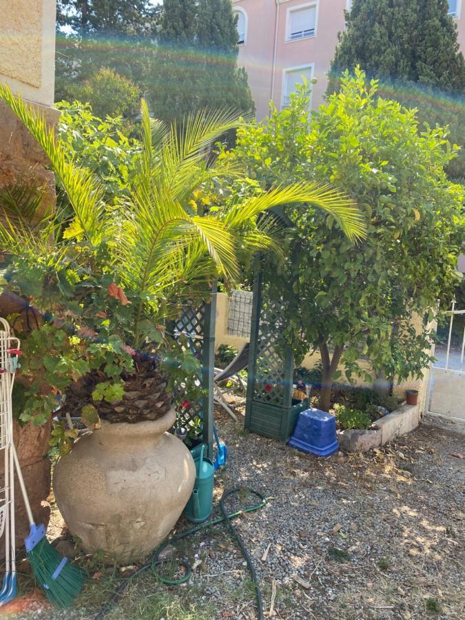 Jardin D'Eden Apartment Saint-Raphaël Екстериор снимка